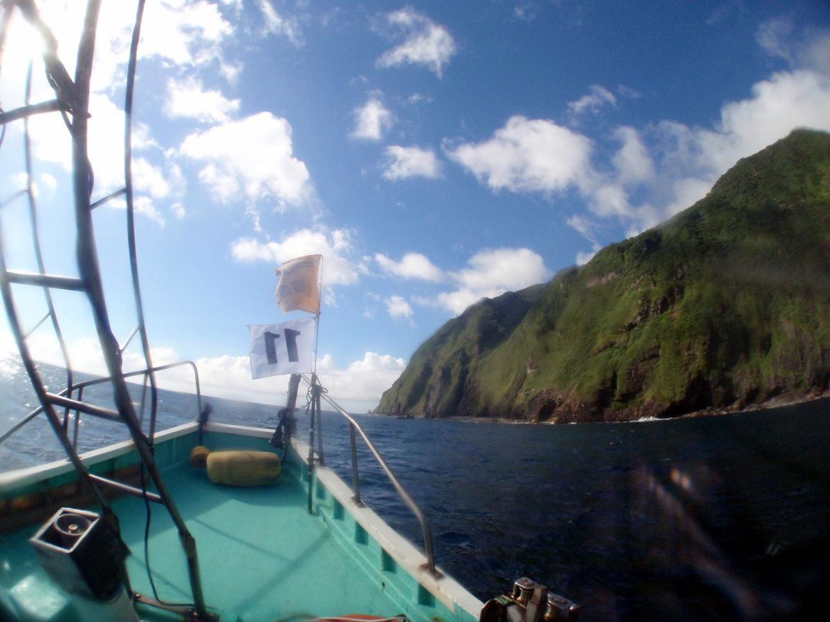 18th Jul. 2012 pic📷

Dolphin swim🐬
in...