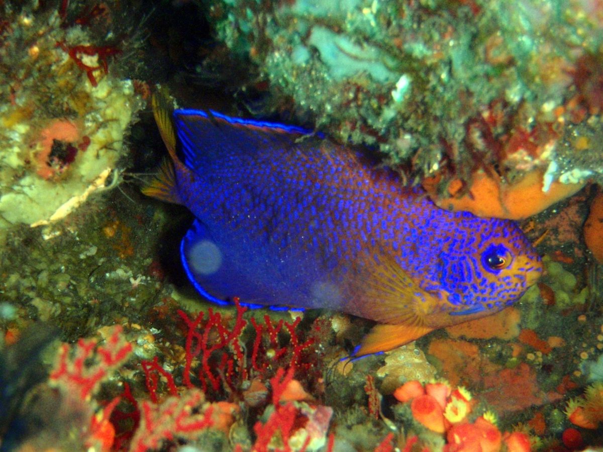 17th Jul. 2012 pic📷

２本目🐠🐠⋆*
in 三池アーチ...