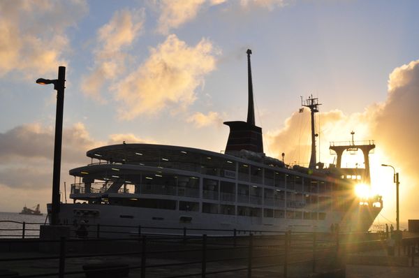 日本・御蔵島「Japan🇯🇵diving trip🤿🐬」の写真：17th Jul. 2012 pic📷
...