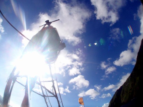 日本・御蔵島「Japan🇯🇵diving trip🤿🐬」の写真：18th Jul. 2012 pic📷
...