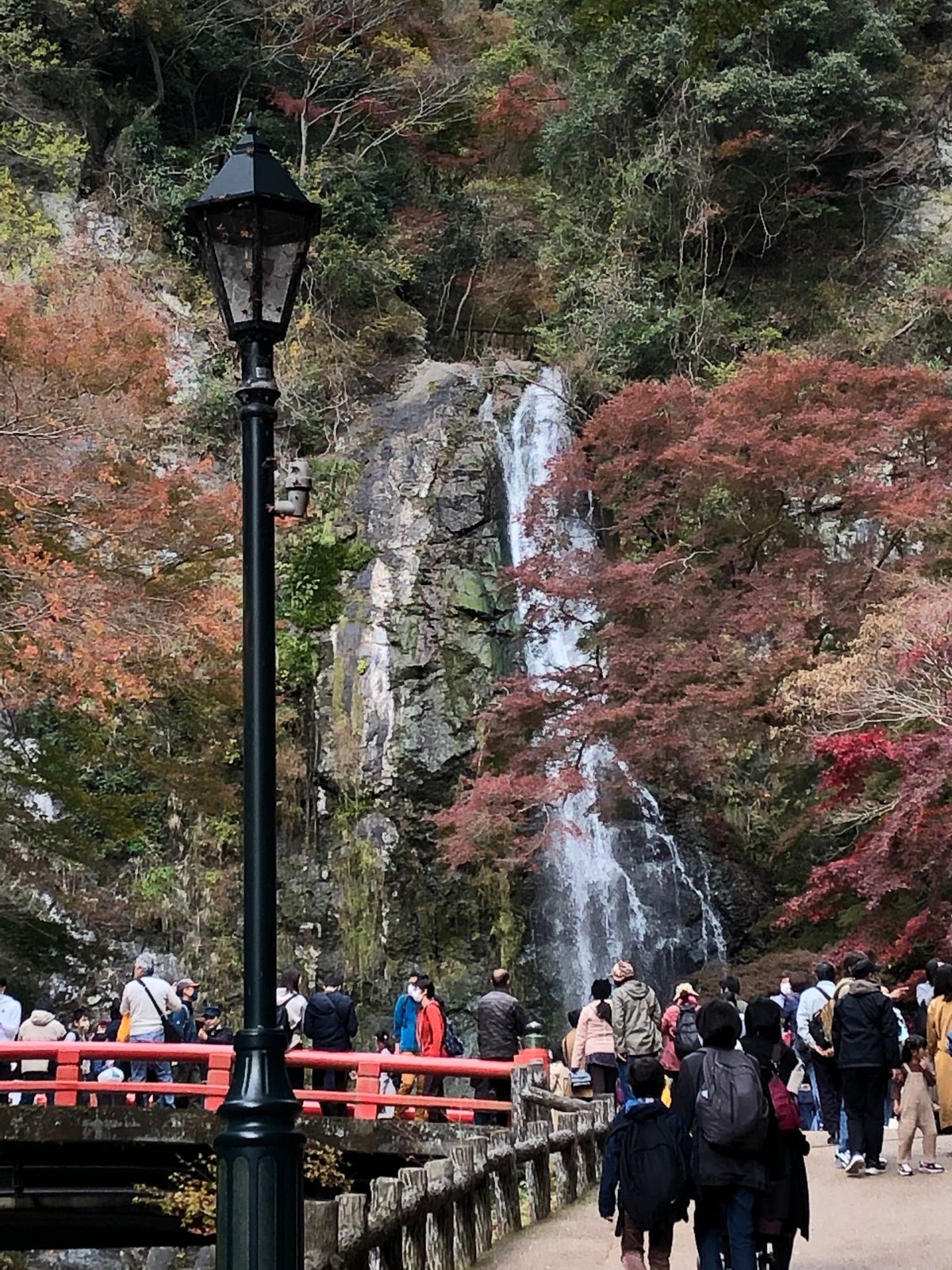 箕面大滝
商店街から緩やかに山を登り奥へと進むと滝が出てきてマイナスイオン...