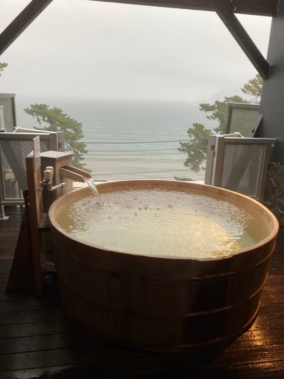 温泉、海、海鮮、大楠…癒しの土地🍃