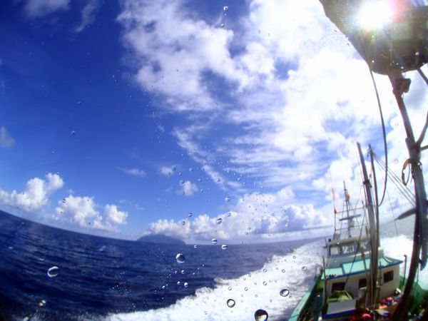 日本・御蔵島「Japan🇯🇵 diving trip🤿」の写真：18th Aug. 2012 pic📷
...