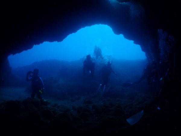 日本・御蔵島「Japan🇯🇵 diving trip🤿」の写真：18th Aug. 2012 pic📷
...