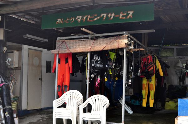 日本・御蔵島「Japan🇯🇵 diving trip🤿」の写真：19th Aug. 2012 pic📷
...