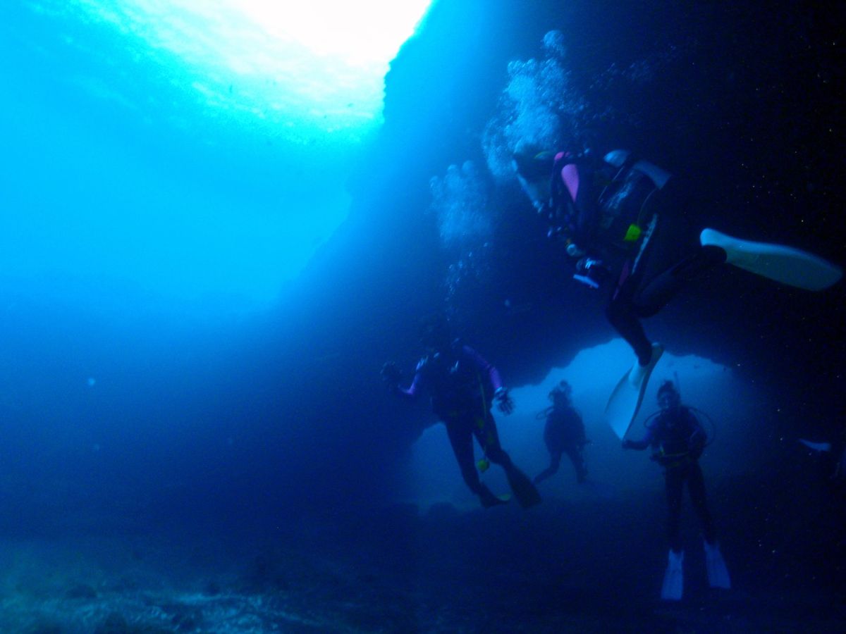 18th Aug. 2012 pic📷

４本目🐠🐠🐠🐠⋆*
in 三池ア...