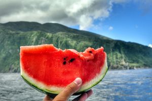 19th Aug. 2012 pic📷

in 御蔵島🏝

大好きな休憩t...
