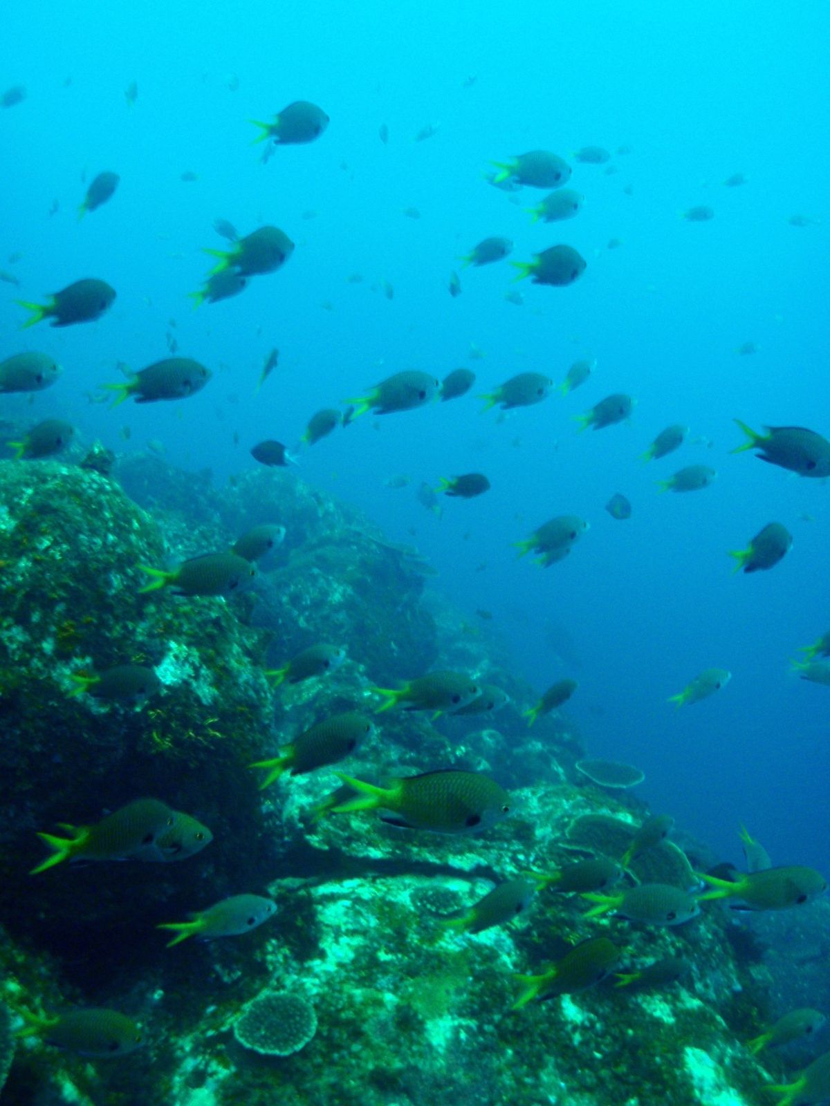 18th Aug. 2012 pic📷

3本目🐠🐠🐠⋆*
in 学校下
...