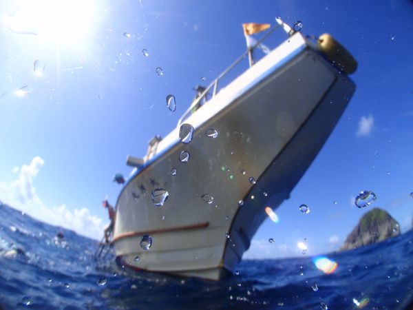 日本・御蔵島「Japan🇯🇵 diving trip🤿」の写真：19th Aug. 2012 pic📷
...