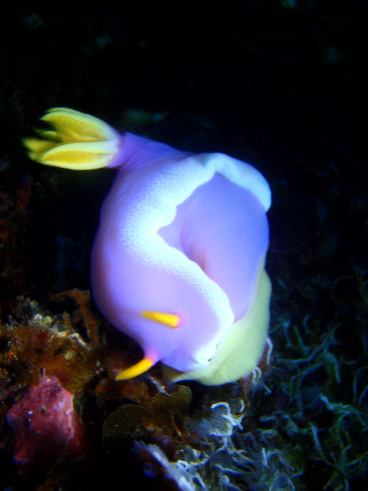 18th Aug. 2012 pic📷

3本目🐠🐠🐠⋆*
in 学校下
...