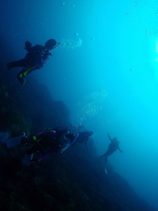 日本・御蔵島「Japan🇯🇵 diving trip🤿」の写真：18th Aug. 2012 pic📷
...