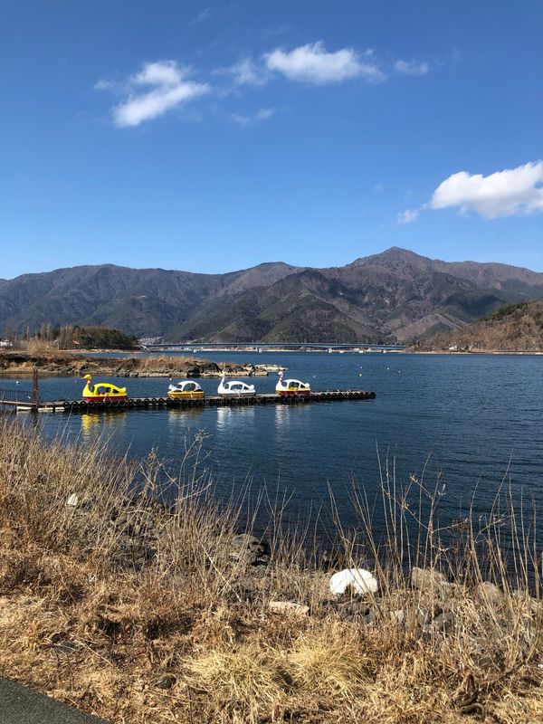 日本・静岡県「トーマス列車で河口湖」の写真：河口湖、富士山、ロープウェイ。
ロープウ...