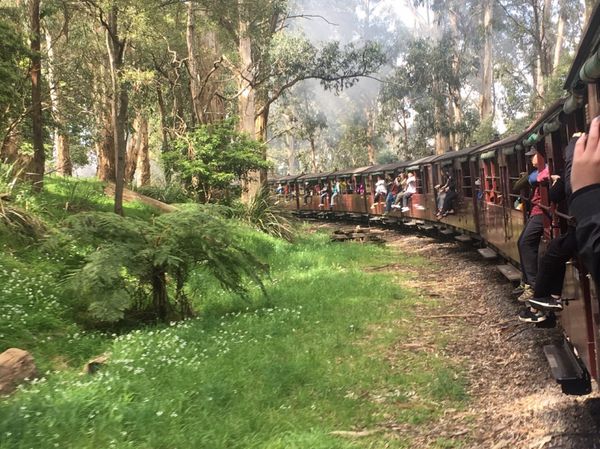 オーストラリア連邦「オーストラリア④」の写真