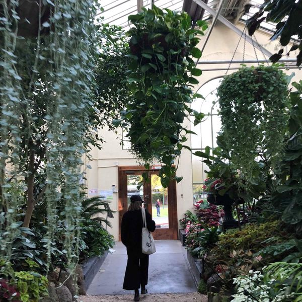 オーストラリア連邦「オーストラリア④」の写真