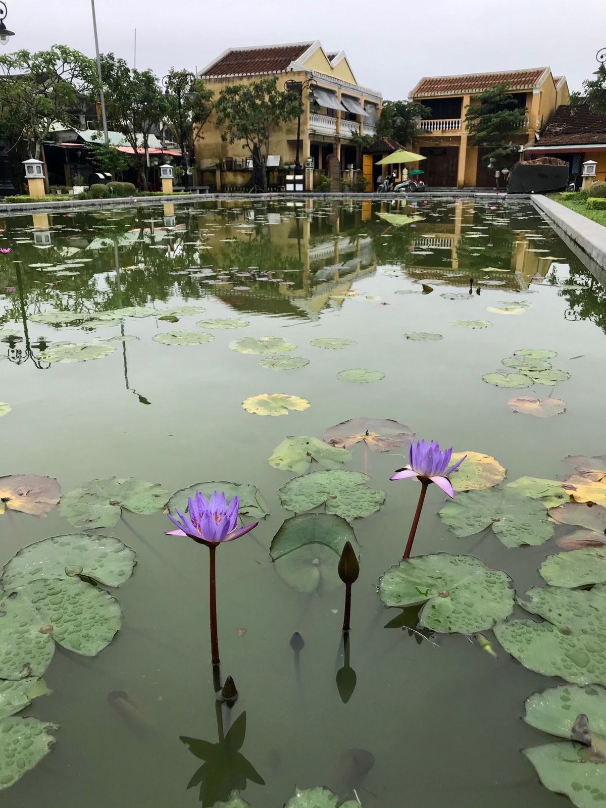 ホイアン街歩き
ホイアンはベトナム有数の観光地だけど、コロナの影響で観光客...