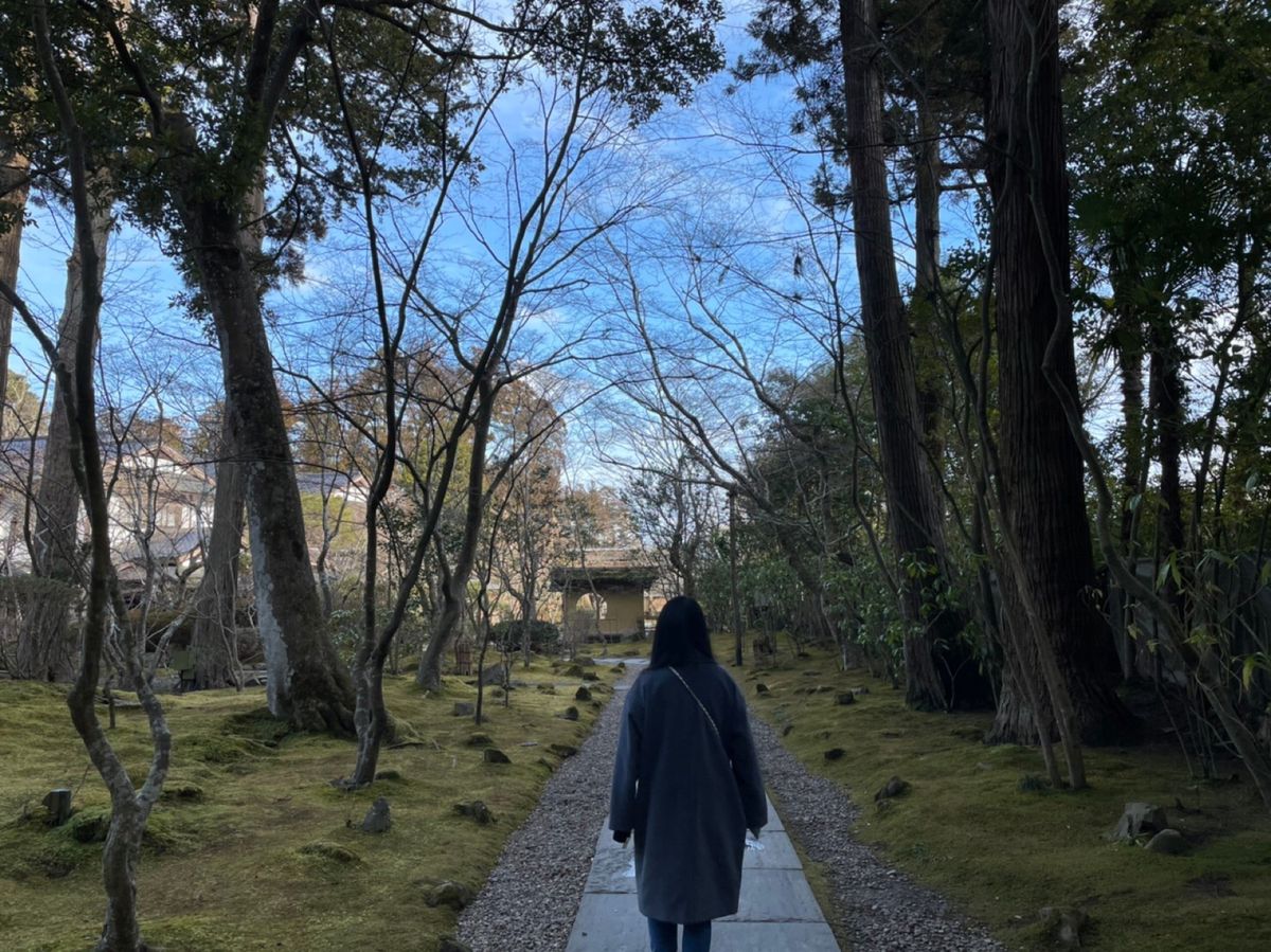 Harry's junction
松華堂
円通院