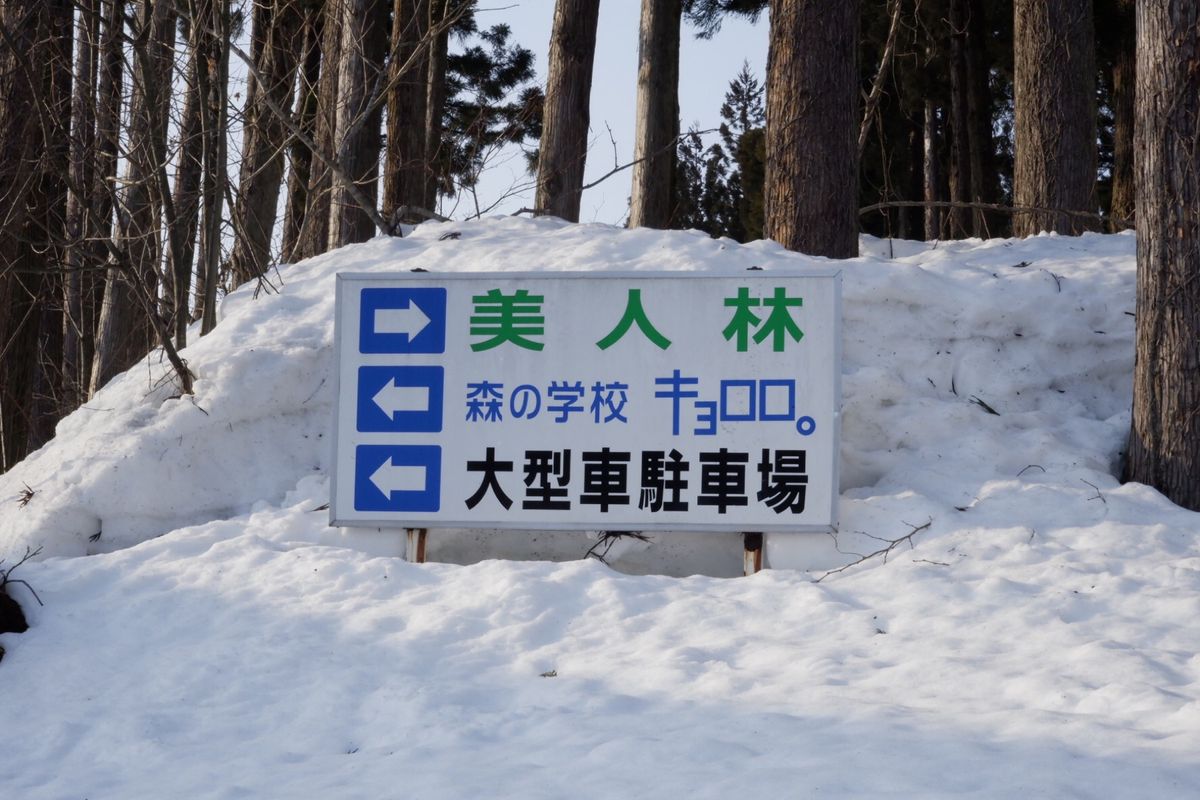 冬季通行止めの道ばっかりで、やっとたどり着いたのにキョロロしまってた😭

...