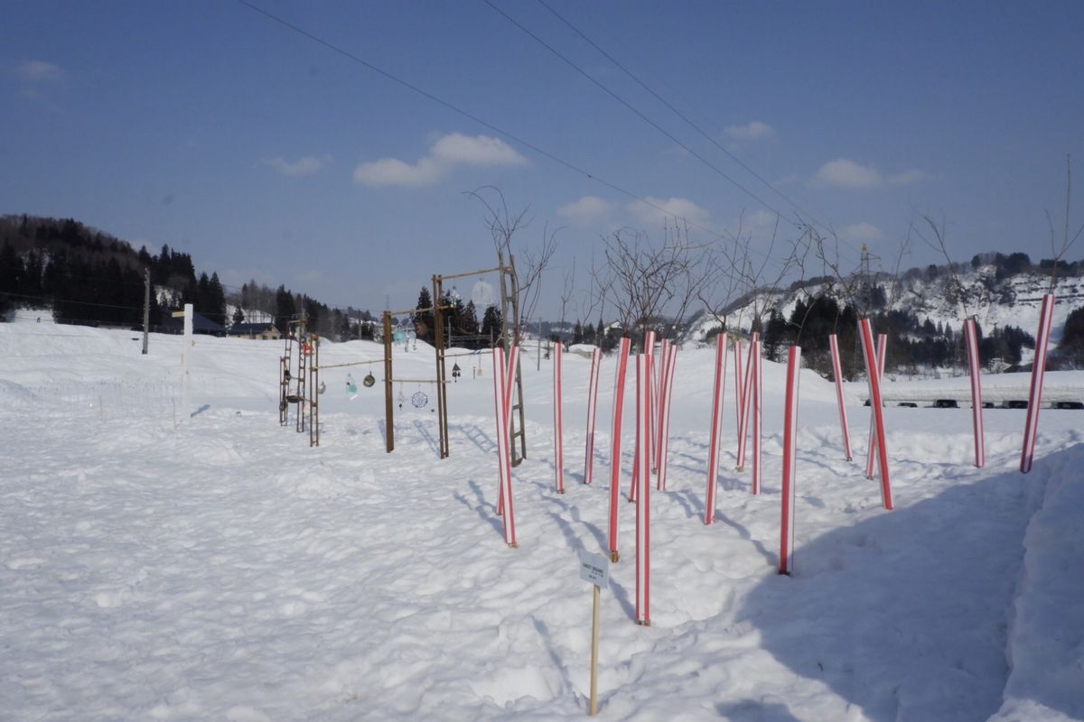 農舞台の外では色々な雪遊びが楽しめます☃️