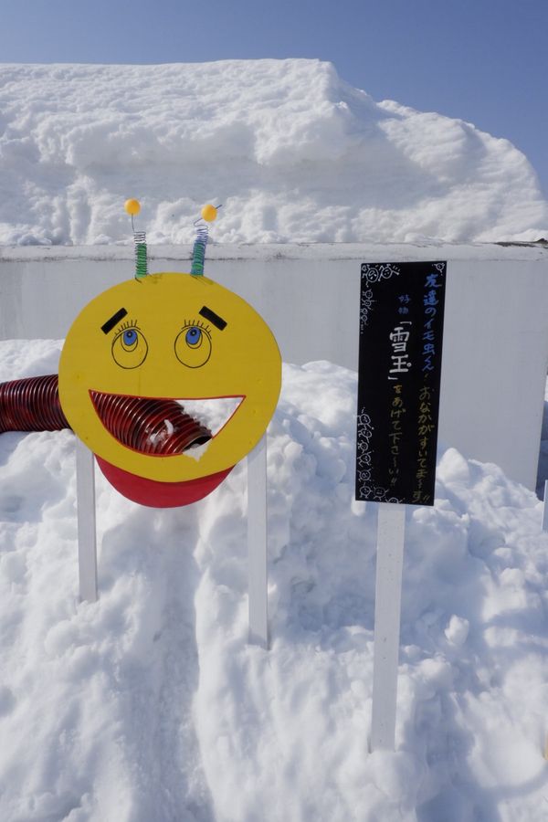 日本・新潟県十日町市「十日町　大地の芸術祭　冬」の写真