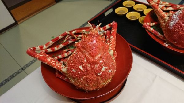 日本「伊豆」の写真