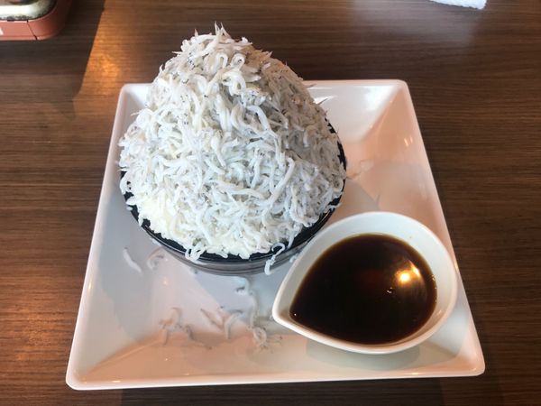 日本・和歌山県「和歌山」の写真