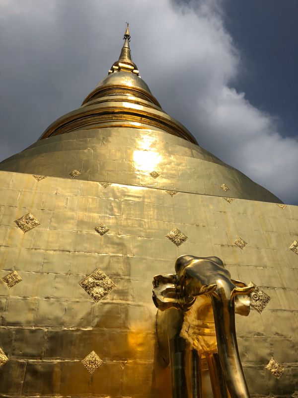 タイ・バンコク「タイ。コムローイ祭を見るために！」の写真：タイ料理、何食べても美味しい！昼食はSP...