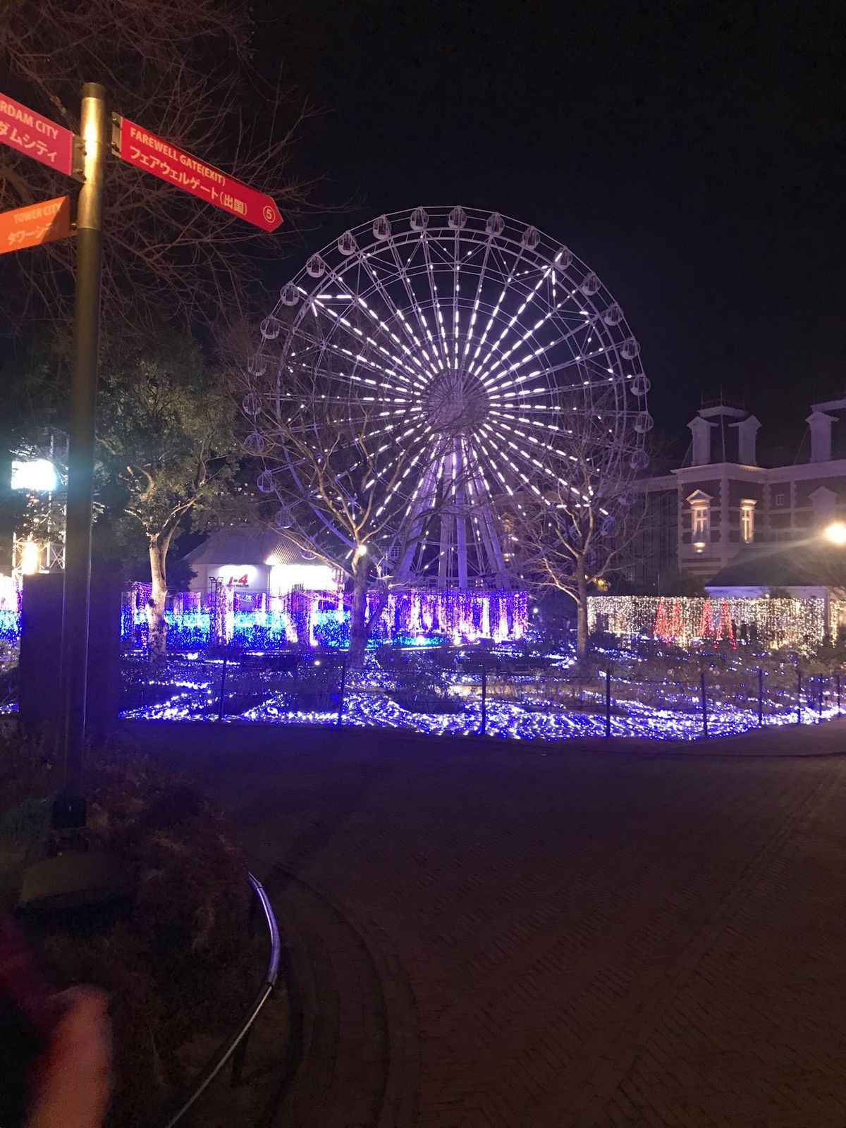 イルミネーション🌃