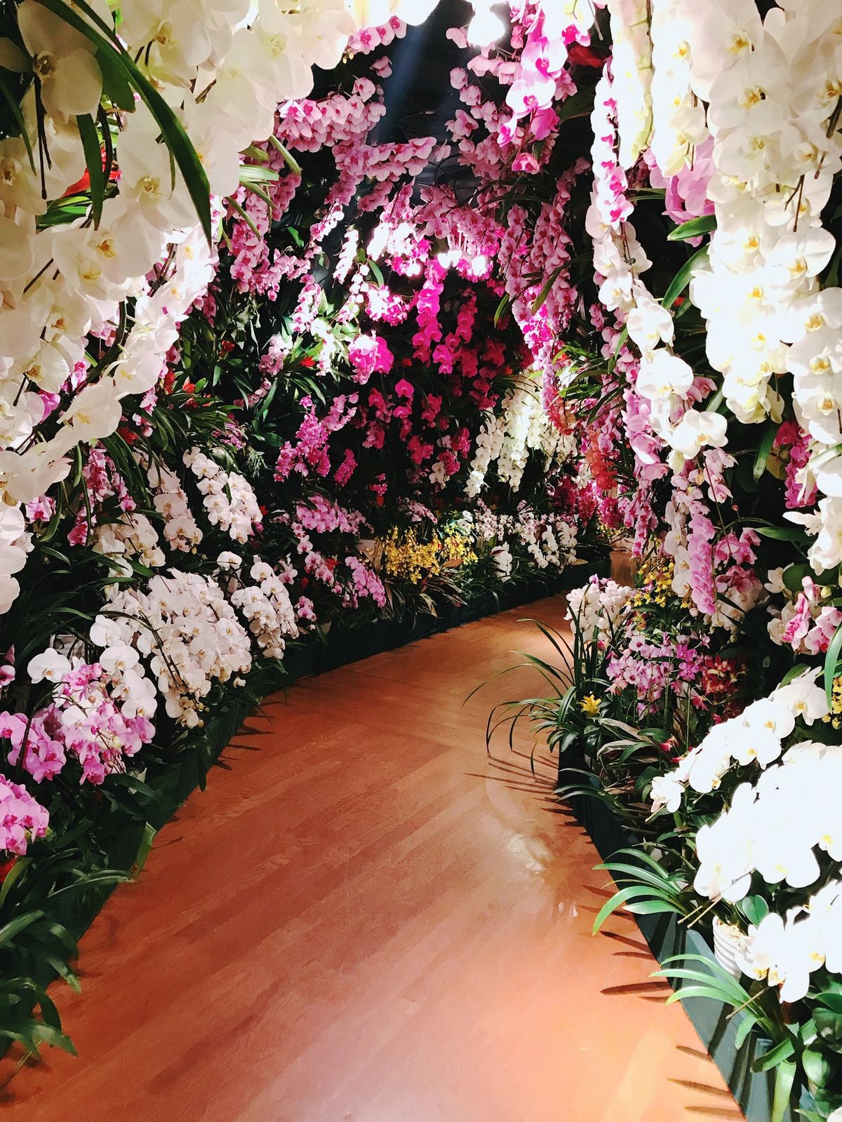 胡蝶蘭展（たぶん）
可愛い靴👠👞
ハウステンボス駅