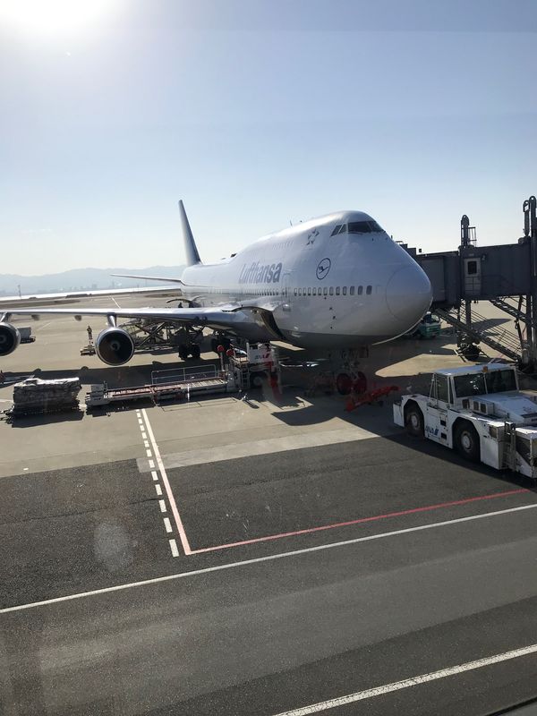 ハンガリー・ブダペスト「卒業旅行② 初ヨーロッパ ！4カ国周遊🇭🇺→🇸🇰→🇨🇿→🇦🇹」の写真：飛行機と飛行機からの景色
ルフトハンザ航...