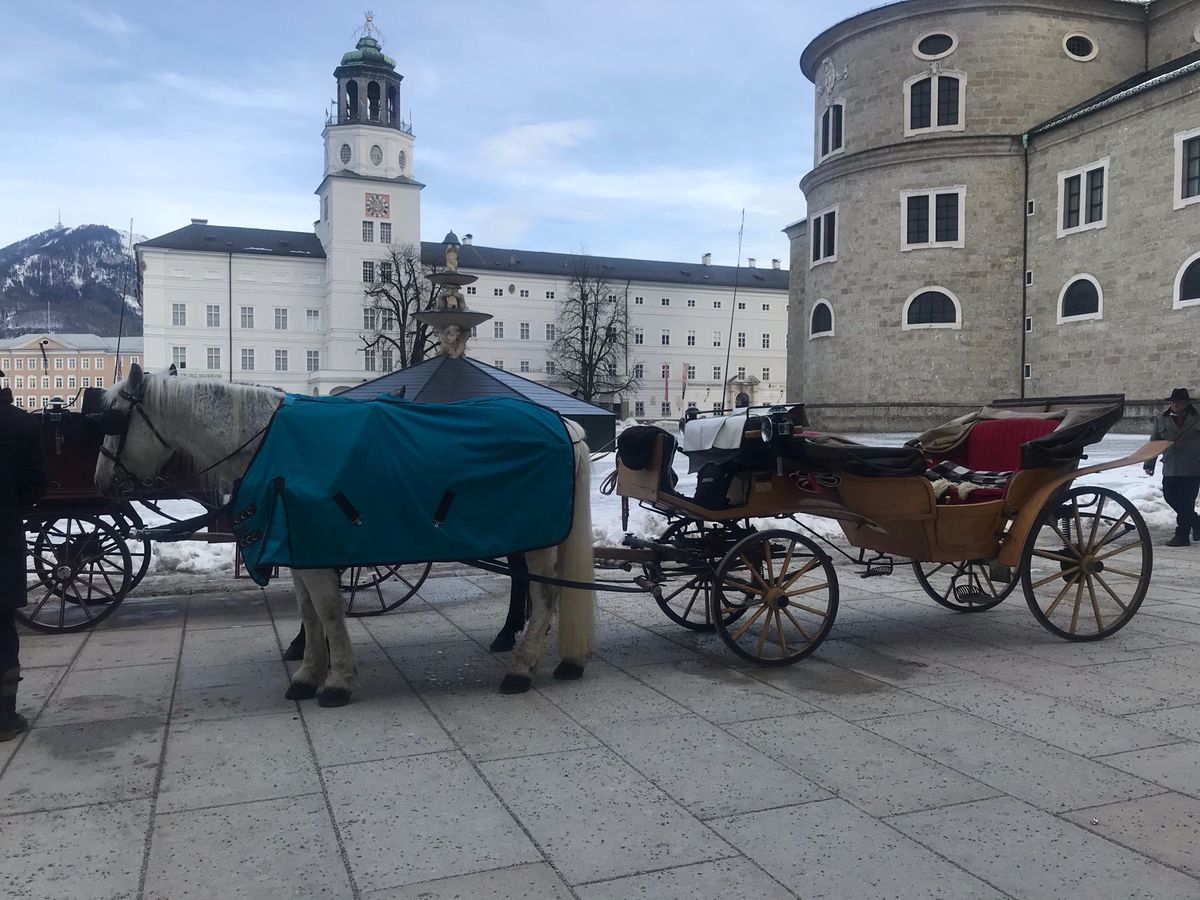 オーストリア🇦🇹
ザルツブルク
旧市街
新市街
モーツァルト
