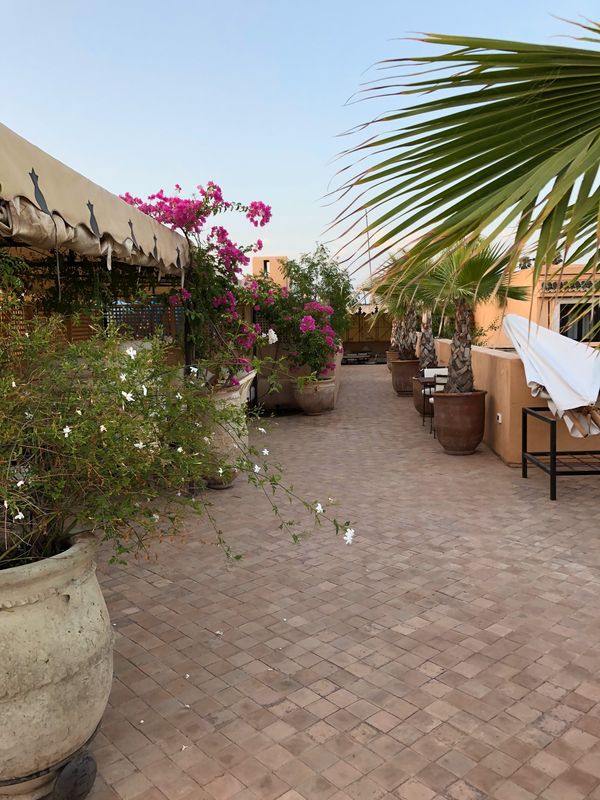 モロッコ・カサブランカ「モロッコ 〜サハラ砂漠でラクダに乗る〜」の写真