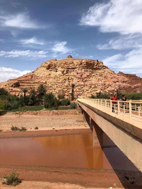 モロッコ・カサブランカ「モロッコ 〜サハラ砂漠でラクダに乗る〜」の写真