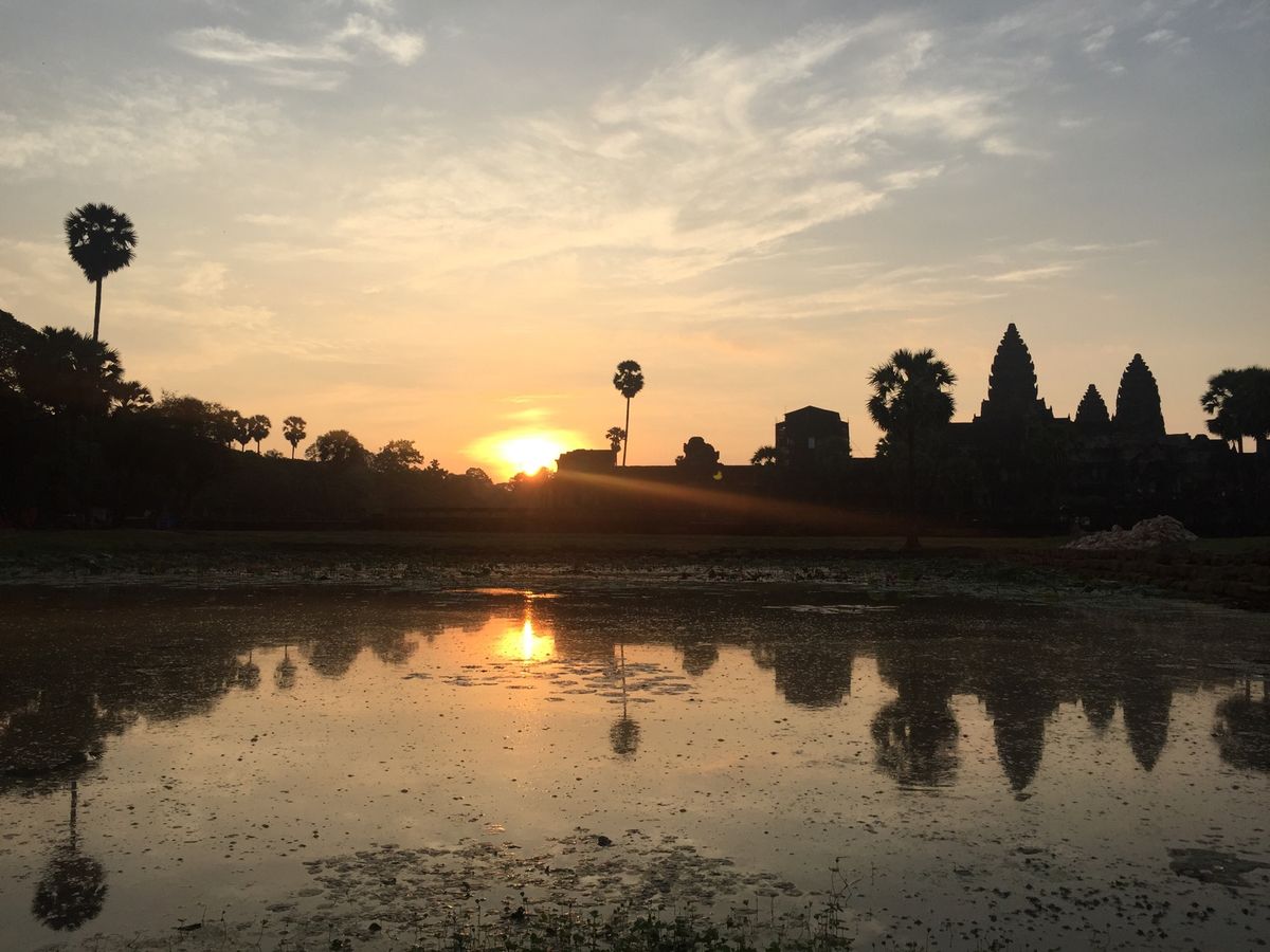 朝のアンコールワット。スマホとミラーレスで撮りました。昼食のアモックは親子...
