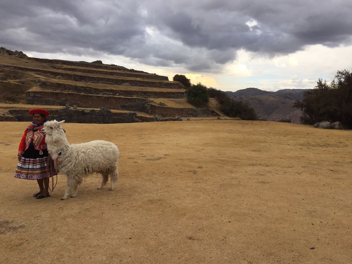 アルパカ連れたおばさんは、写真撮ったらお金取られるから盗撮笑
ペルー料理は...
