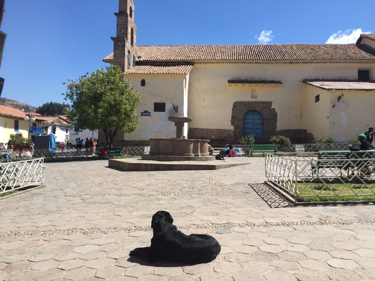 クスコ散策。
雲一つない快晴。
建物と空の色がかわいい。
何かの行進？イベント？