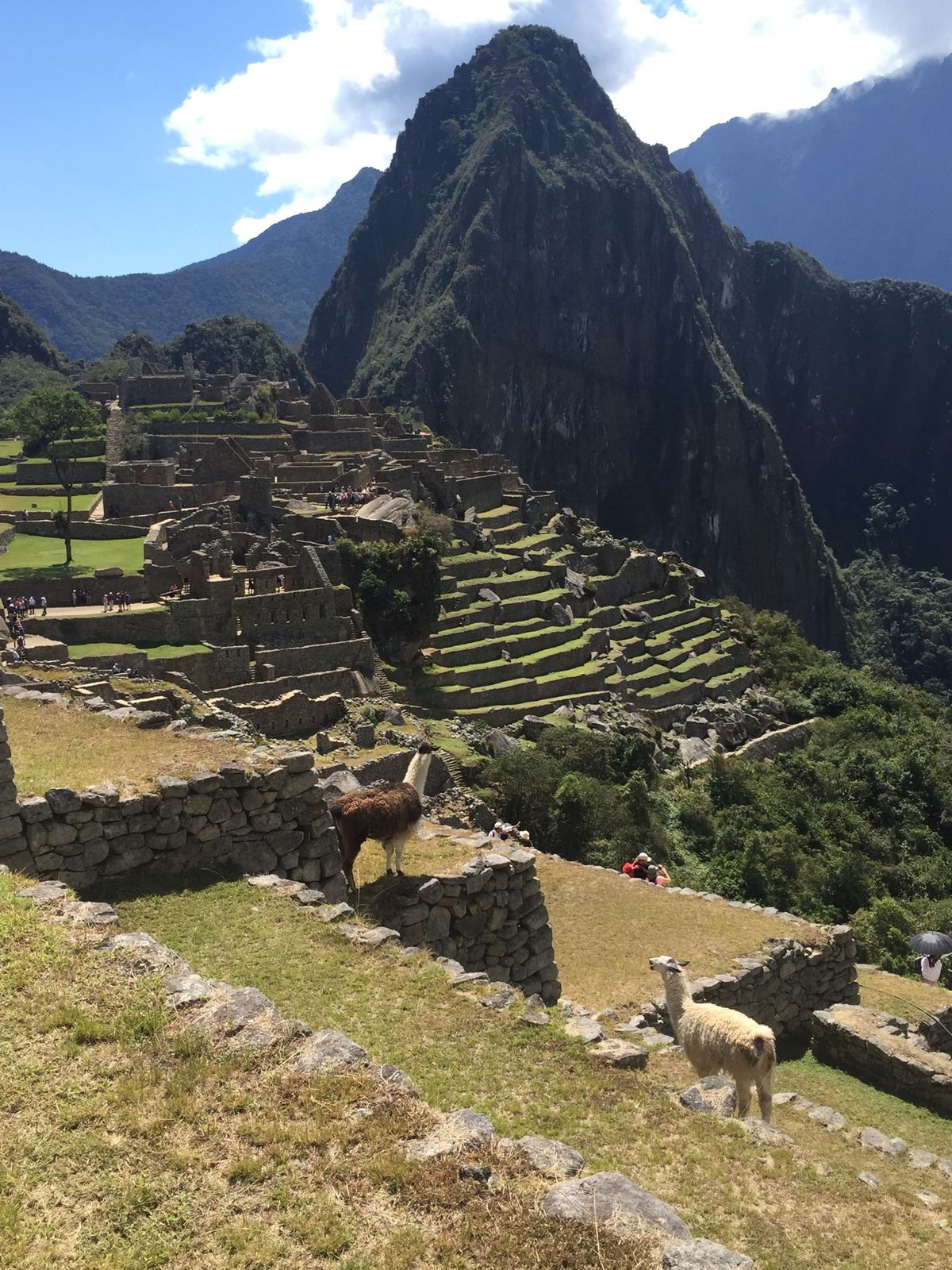 クスコからマチュピチュまでも3、4時間かかっただろうか。
大変だったけど、...