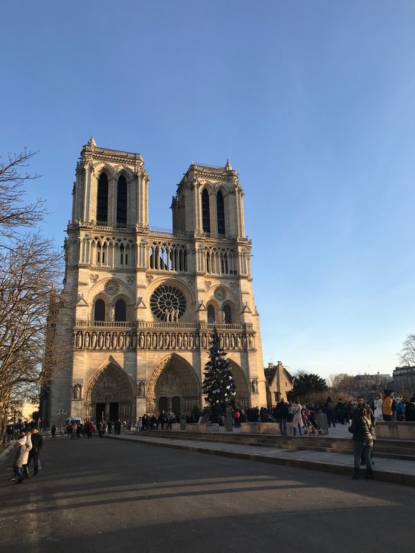 イギリス(英国)・ロンドン「イギリス・フランスの旅」の写真：ノートルダム大聖堂！
ステンドグラスめっ...