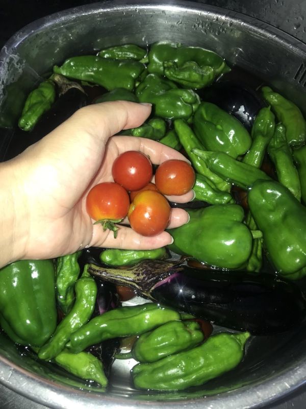 日本・茨城県「夏休み茨城女子旅」の写真