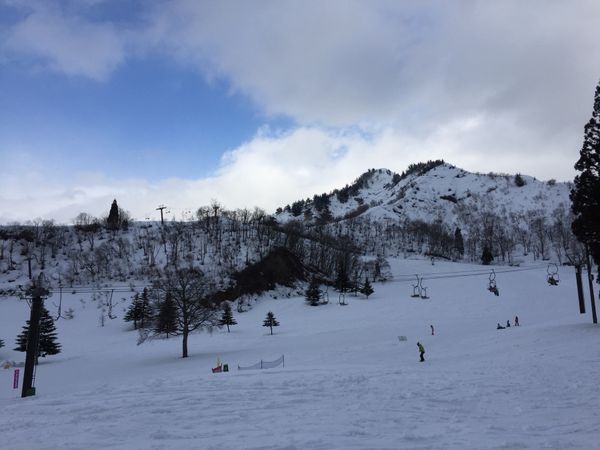 日本・新潟県「卒業スキー旅行」の写真