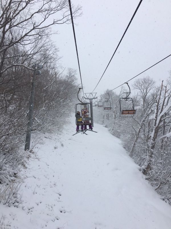 日本・新潟県「スキー旅行」の写真
