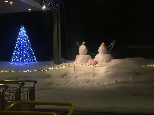 日本・北海道「北海道スキー旅行」の写真