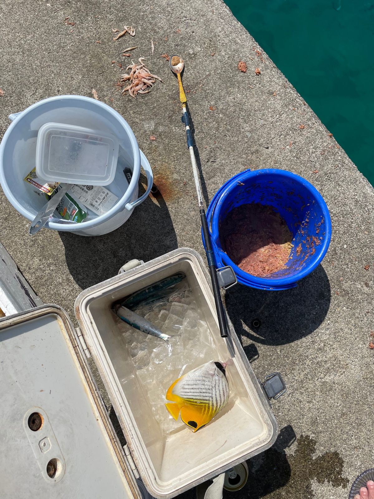 日本の最南端の島『波照間島』

石垣島から貨客船で2時間半の離島、波照間島...