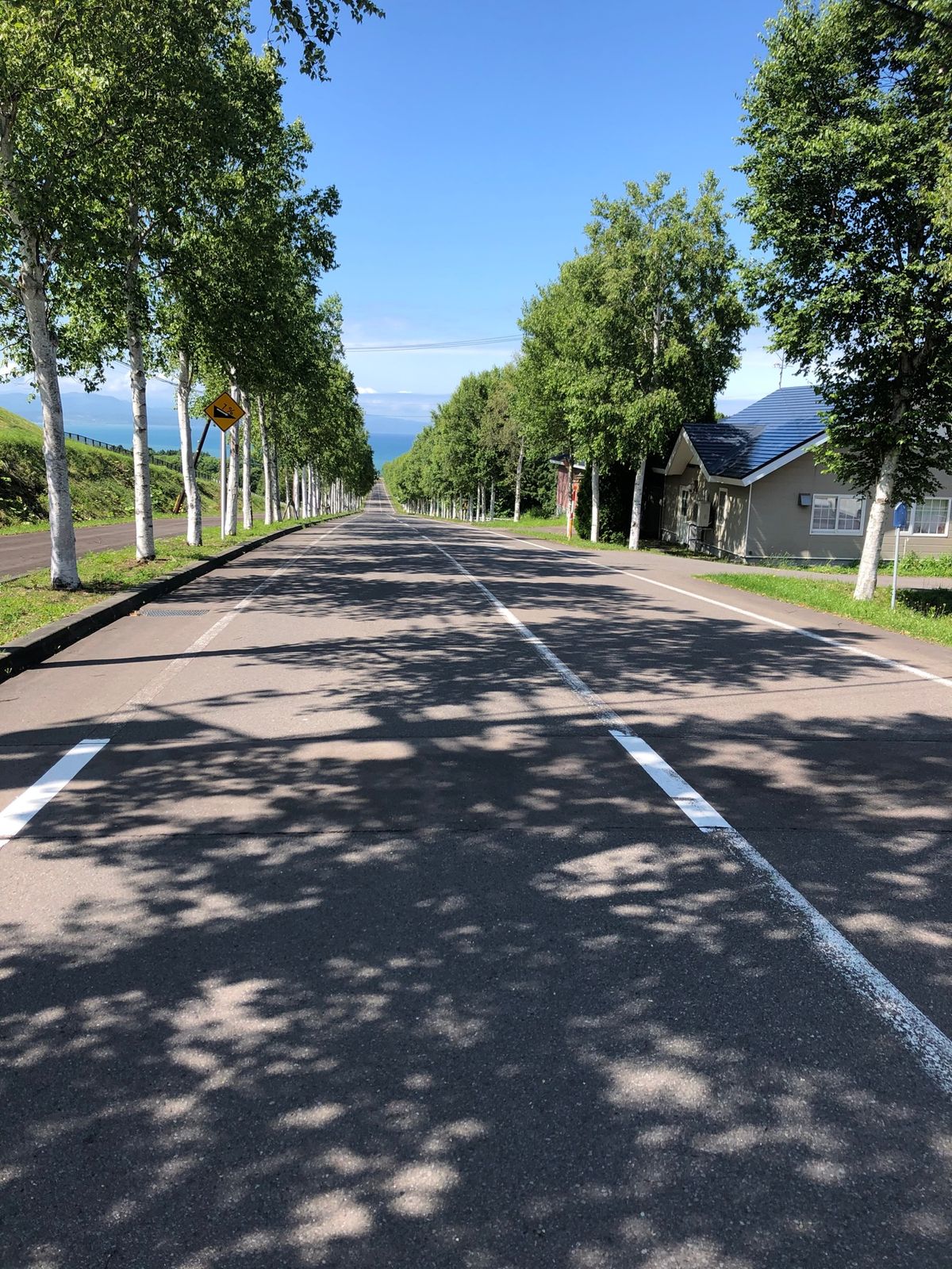 朝8時に札幌出発し、朝食？はウニ丼♫からの黒松内の道の駅でピザ🍕からの八雲...