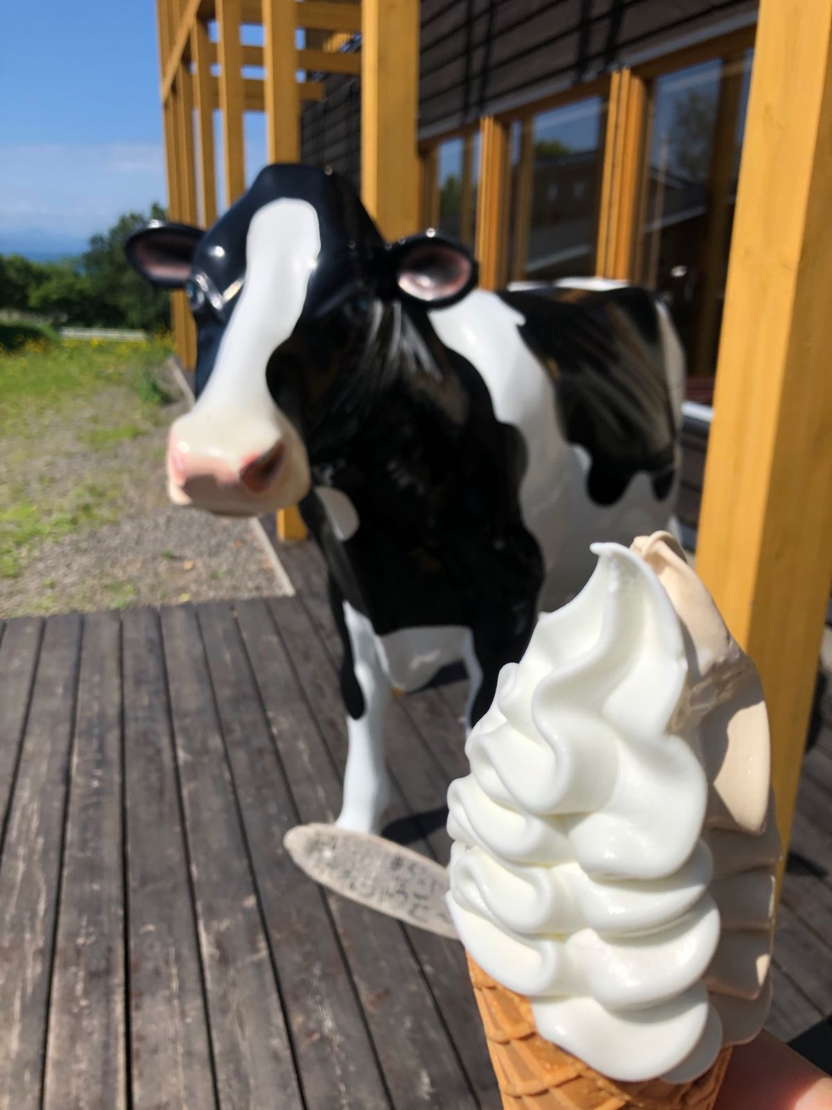 朝8時に札幌出発し、朝食？はウニ丼♫からの黒松内の道の駅でピザ🍕からの八雲...