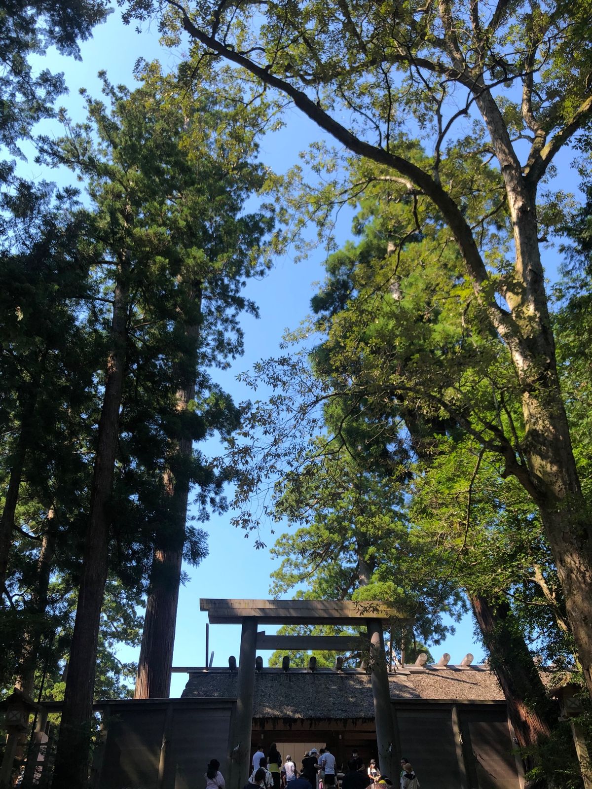 伊勢神宮に向かう途中、松坂牛丼。
外宮と内宮。個人的に外宮の方が好きかも。...