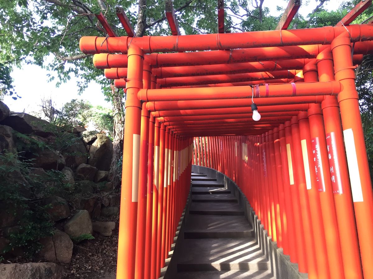 帰りに寄った神社。
ごめんなさい、名前はわかりません💦
貸切って贅沢ですよ...