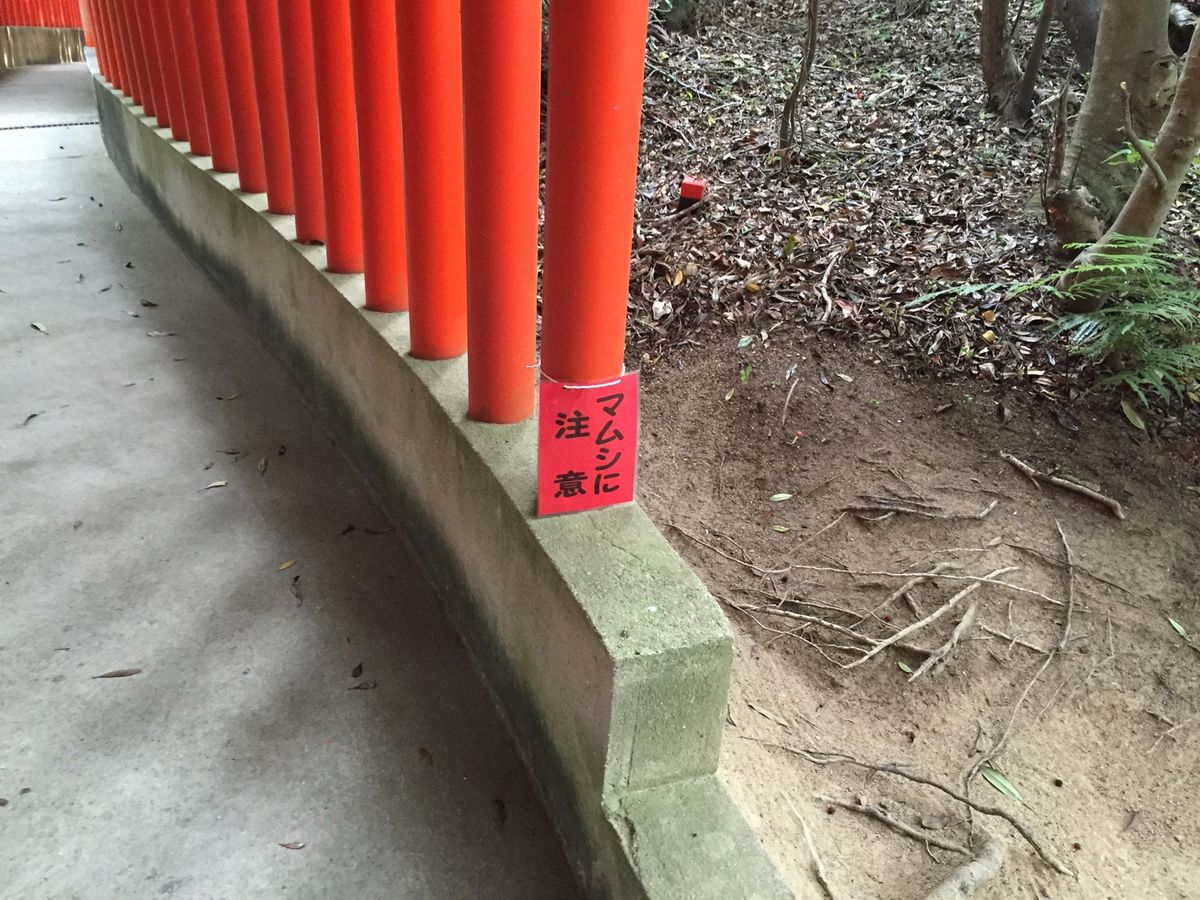 帰りに寄った神社。
ごめんなさい、名前はわかりません💦
貸切って贅沢ですよ...