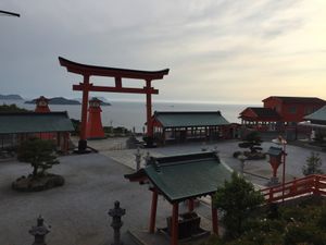 マイルの有効期限が迫ってたので急遽マイルで福岡へ！1泊2日で札幌から福岡行...