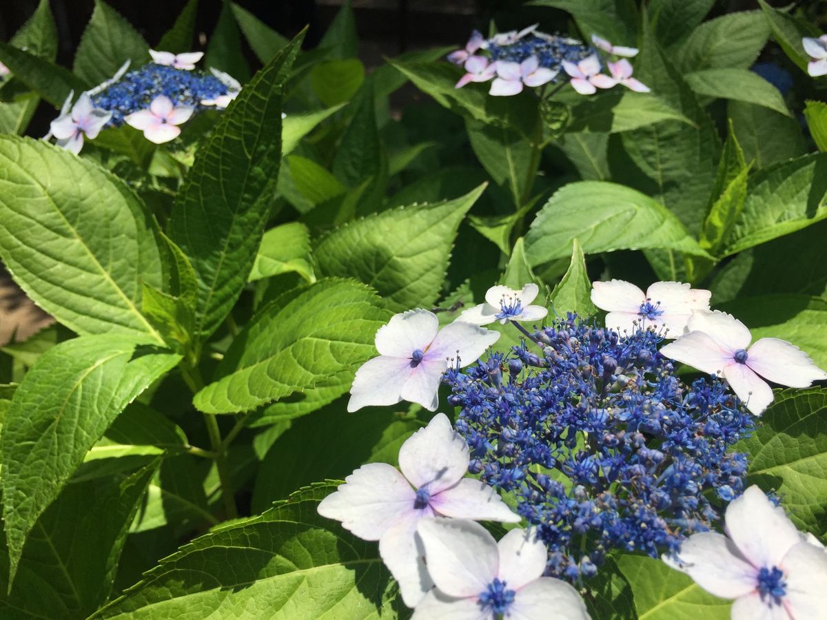 帰る前に太宰府へ。
太宰府のスタバはモダンでおしゃれ✨