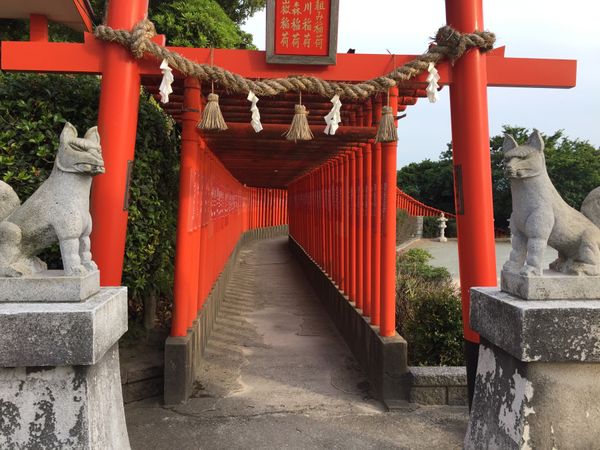 日本・山口県「弾丸福岡〜山口」の写真：帰りに寄った神社。
ごめんなさい、名前は...